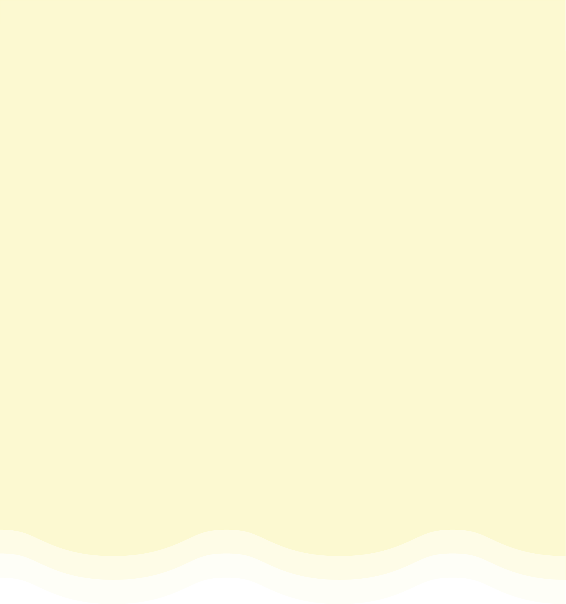 제품상세노란배경